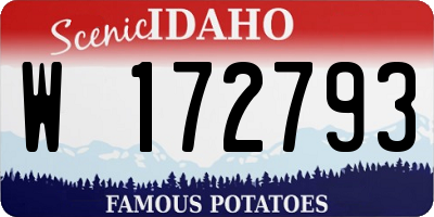 ID license plate W172793
