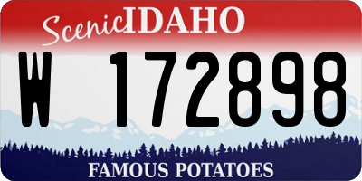 ID license plate W172898