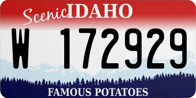 ID license plate W172929