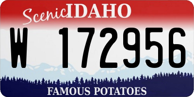 ID license plate W172956