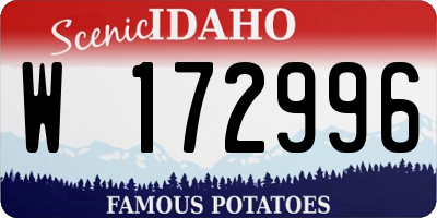 ID license plate W172996