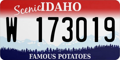 ID license plate W173019