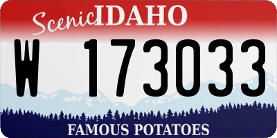 ID license plate W173033