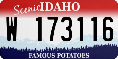 ID license plate W173116