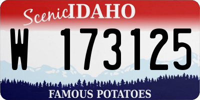 ID license plate W173125