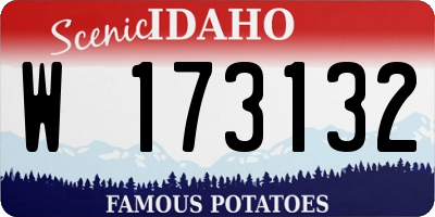 ID license plate W173132