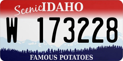 ID license plate W173228