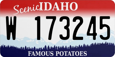 ID license plate W173245