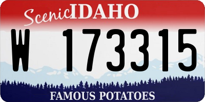 ID license plate W173315