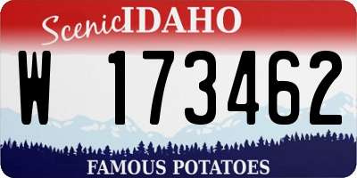 ID license plate W173462