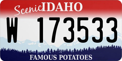 ID license plate W173533