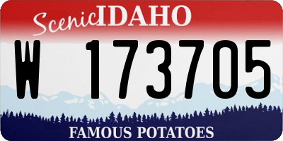 ID license plate W173705