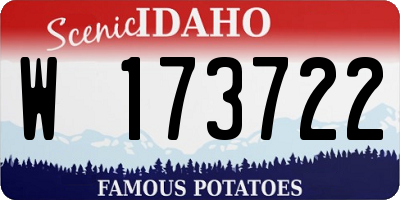 ID license plate W173722