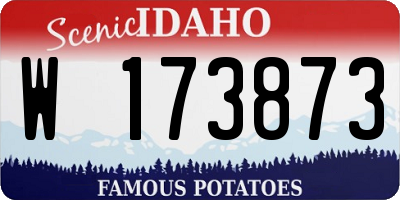 ID license plate W173873
