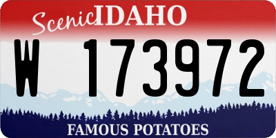 ID license plate W173972