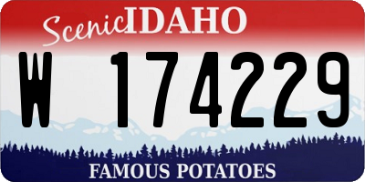 ID license plate W174229