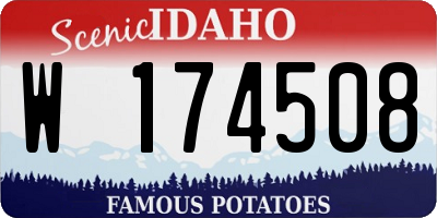 ID license plate W174508