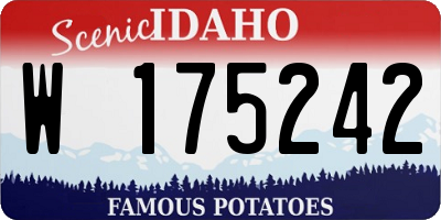 ID license plate W175242