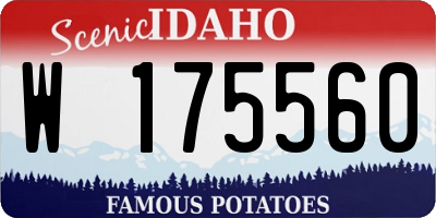 ID license plate W175560