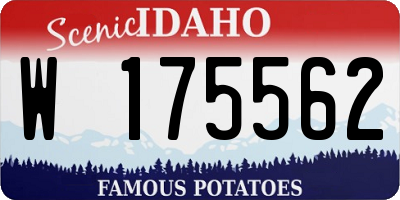 ID license plate W175562