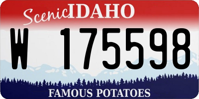 ID license plate W175598