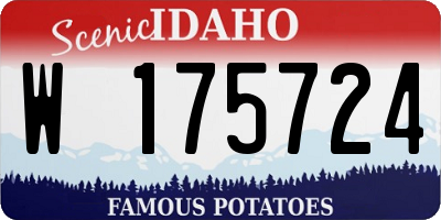 ID license plate W175724