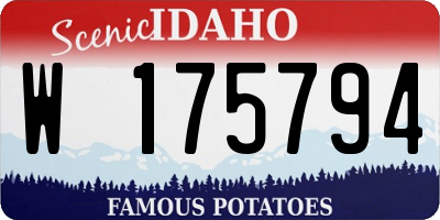 ID license plate W175794