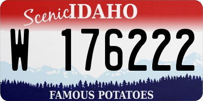 ID license plate W176222