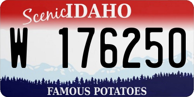 ID license plate W176250