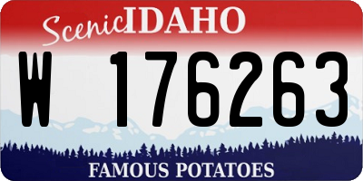 ID license plate W176263