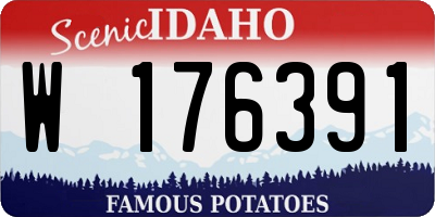 ID license plate W176391