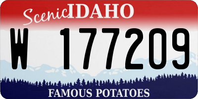 ID license plate W177209