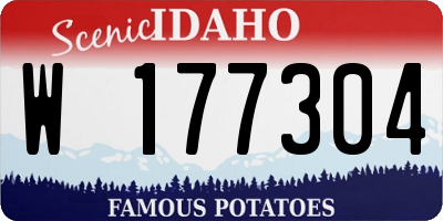 ID license plate W177304