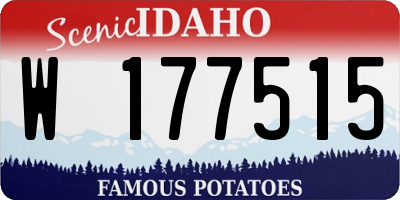 ID license plate W177515