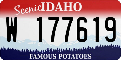 ID license plate W177619