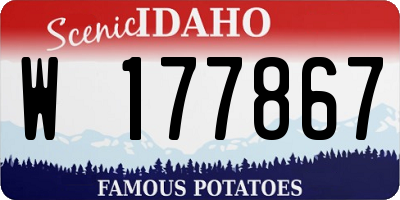 ID license plate W177867