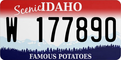 ID license plate W177890