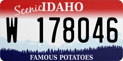 ID license plate W178046