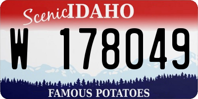 ID license plate W178049