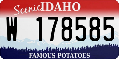 ID license plate W178585