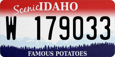 ID license plate W179033