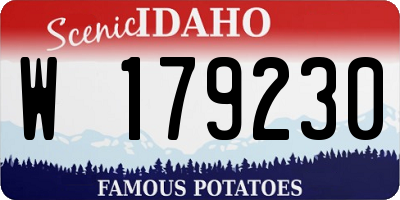 ID license plate W179230