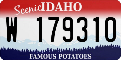 ID license plate W179310