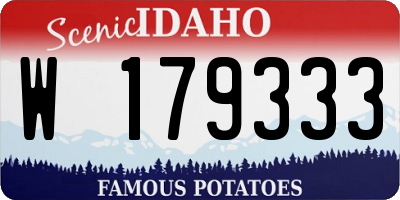 ID license plate W179333