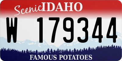 ID license plate W179344