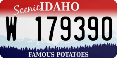 ID license plate W179390