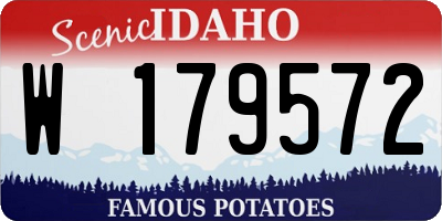 ID license plate W179572