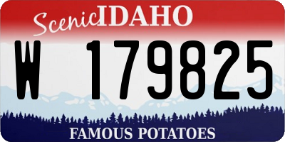 ID license plate W179825
