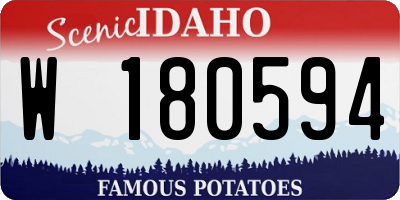 ID license plate W180594