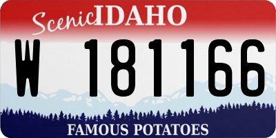 ID license plate W181166